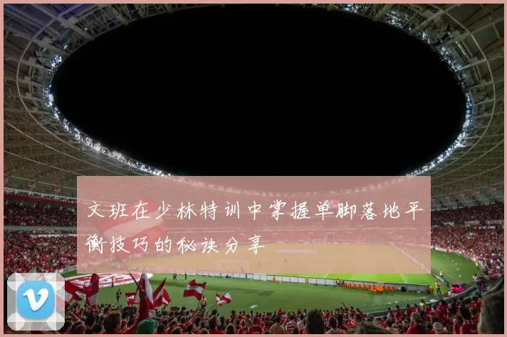 文班在少林特训中掌握单脚落地平衡技巧的秘诀分享