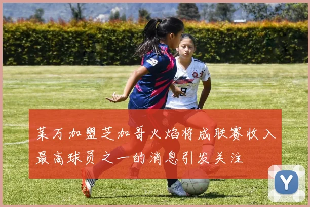 莱万加盟芝加哥火焰将成联赛收入最高球员之一的消息引发关注