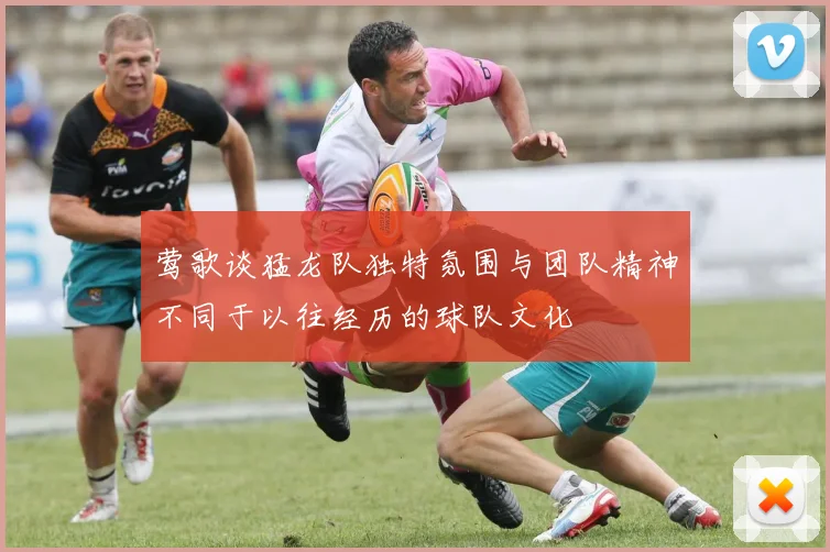 莺歌谈猛龙队独特氛围与团队精神不同于以往经历的球队文化